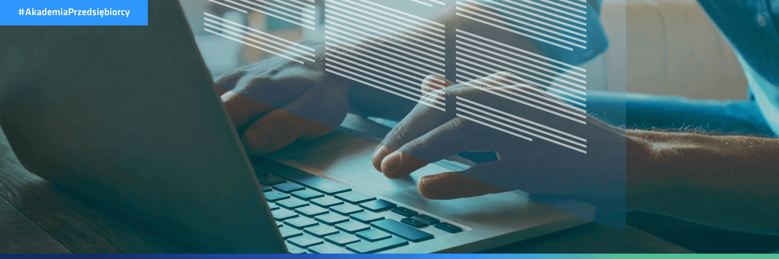 Regulamin strony internetowej – co powinien zawierać?